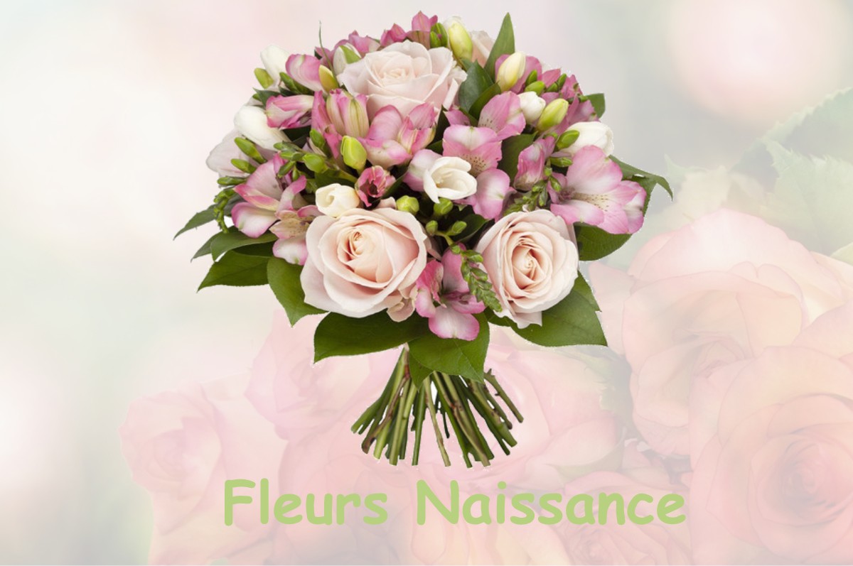 fleurs naissance VENANSON