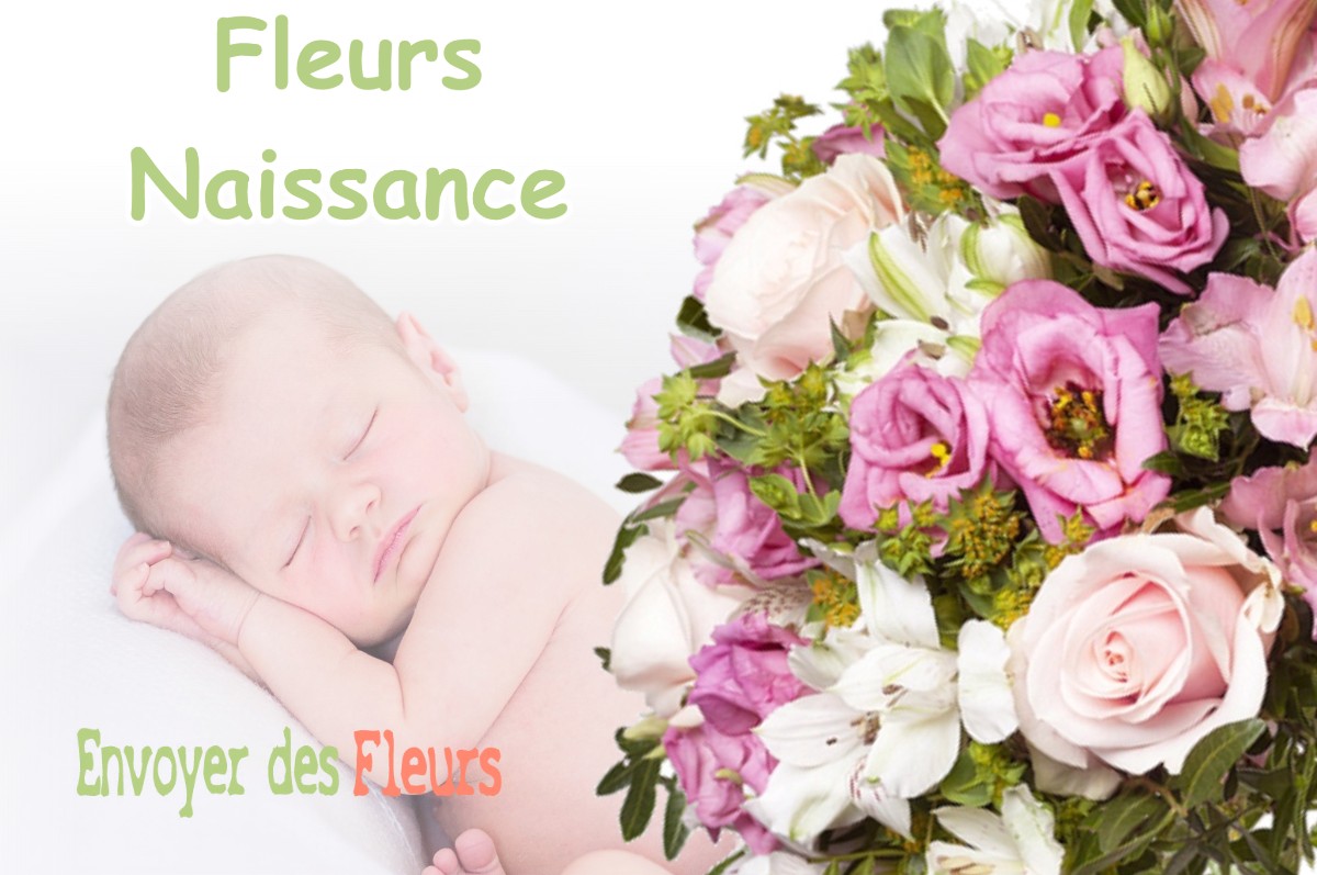 lIVRAISON FLEURS NAISSANCE à VENANSON